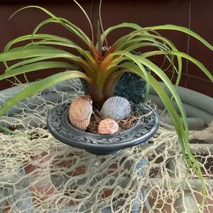 Custom Design, Handmade Artificial Spider Succulent Coastal Vibe